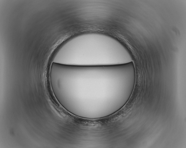 X0000112910443200908241012