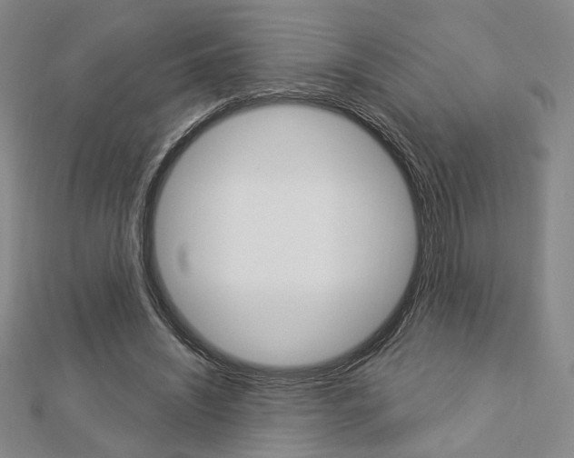 X0000112910444200908241012