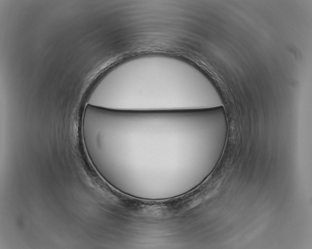 X0000112910446200908241012