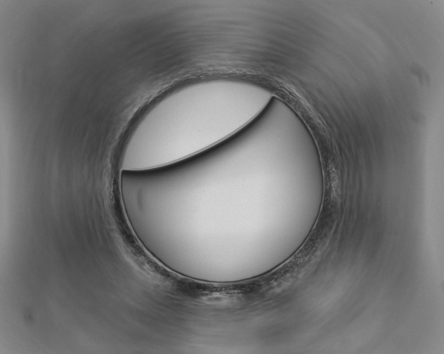 X0000112910447200908241012