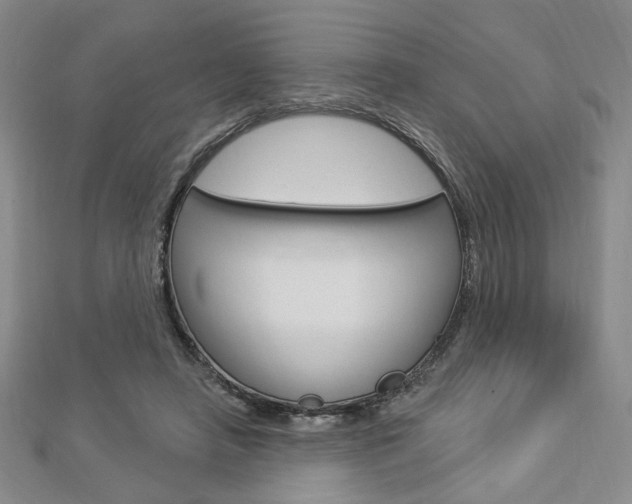 X0000112910450200908241012