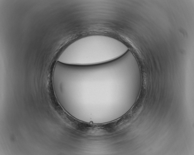 X0000112910451200908241012