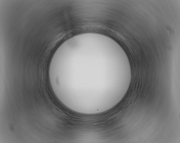 X0000112910452200908241012