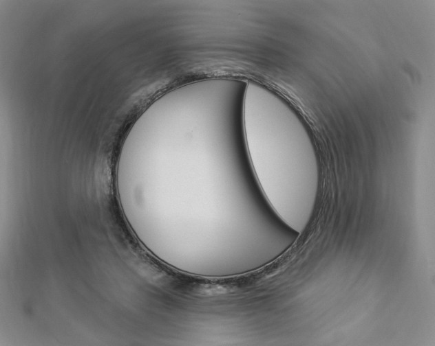 X0000112910453200908241012