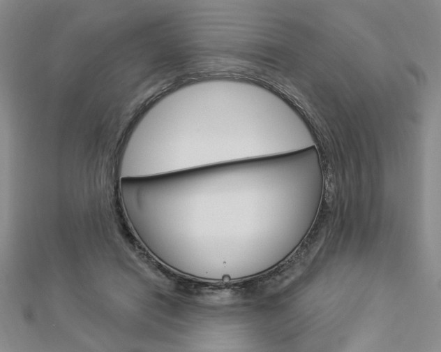 X0000112910454200908241012