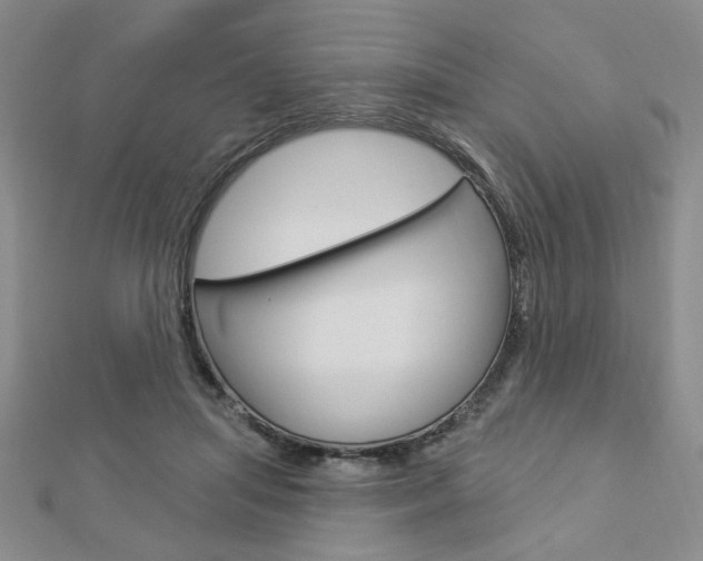 X0000112910455200908241012