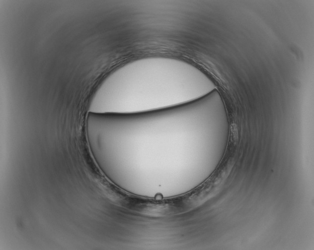 X0000112910458200908241012
