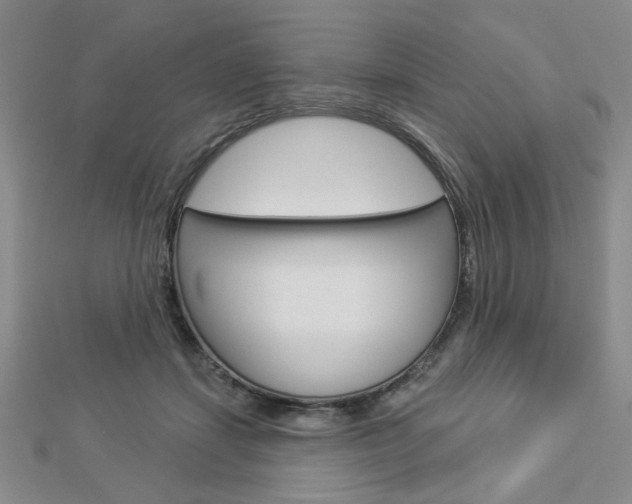 X0000112910459200908241012