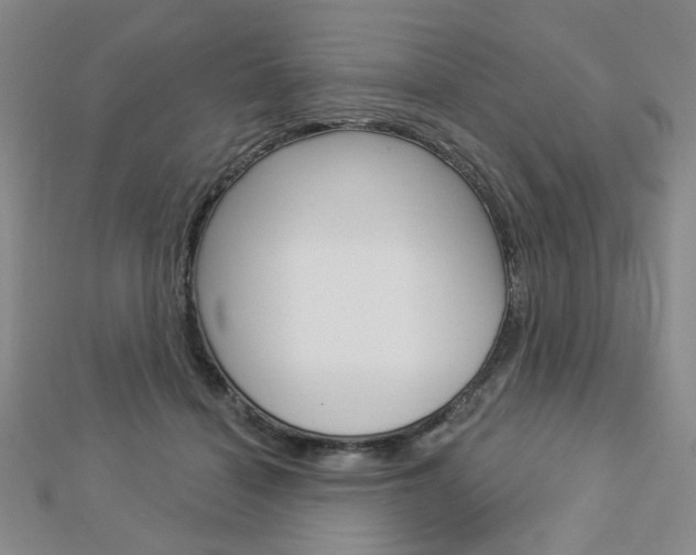 X0000112910460200908241012