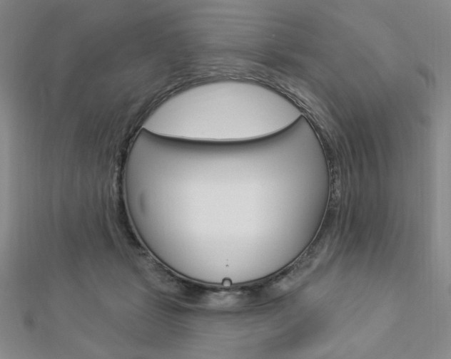 X0000112910461200908241012