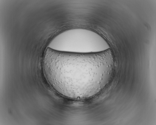 X0000112910462200908241012