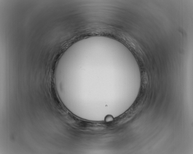 X0000112910463200908241012