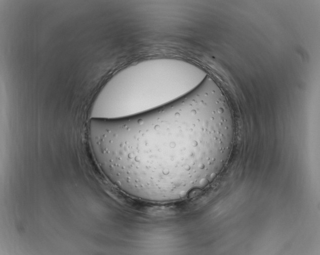 X0000112910465200908241012