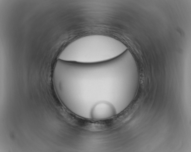 X0000112910466200908241012