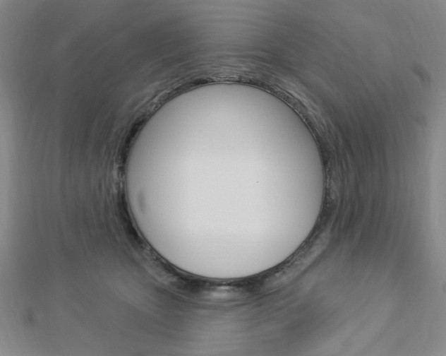 X0000112910467200908241012