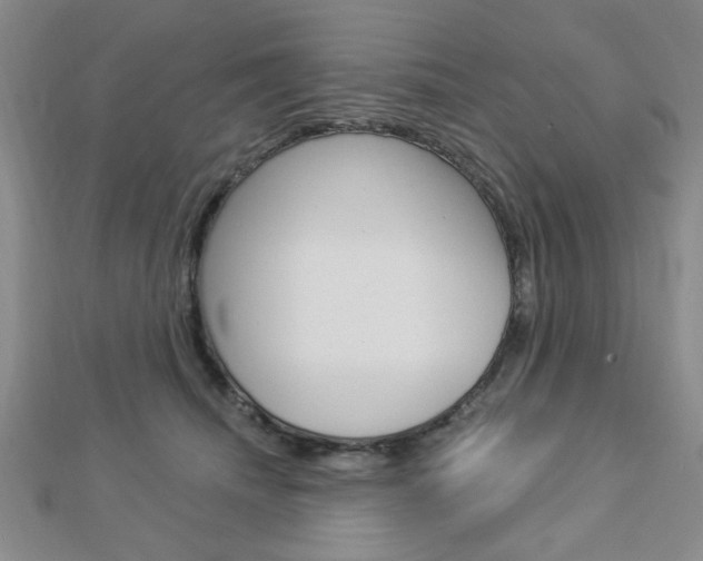 X0000112910468200908241012