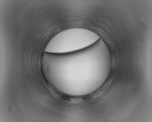 X0000112910470200908241012
