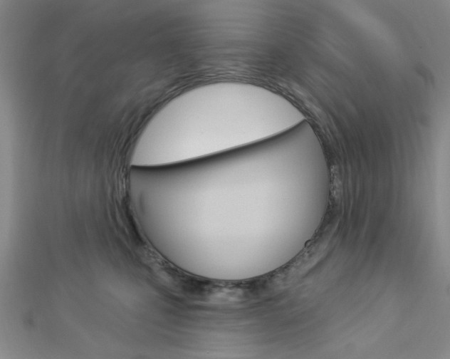 X0000112910471200908241012