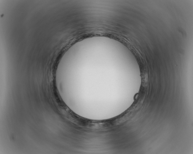 X0000112910472200908241012