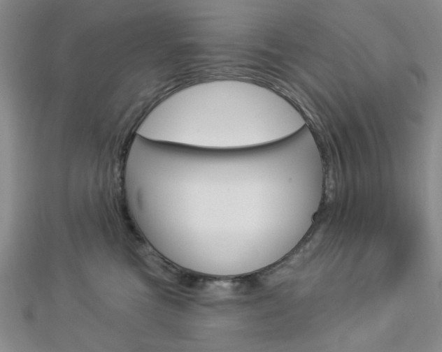 X0000112910473200908241012