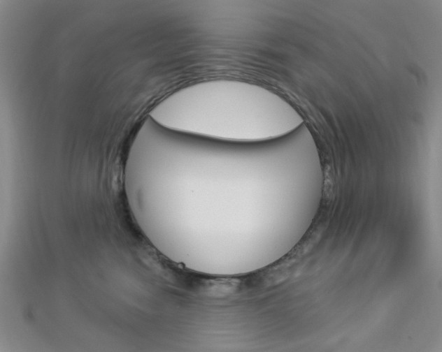 X0000112910474200908241012