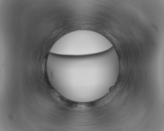 X0000112910475200908241012