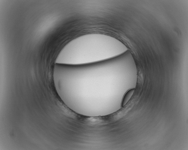 X0000112910477200908241012