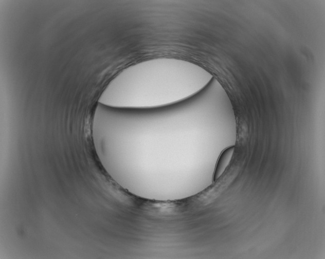 X0000112910478200908241012