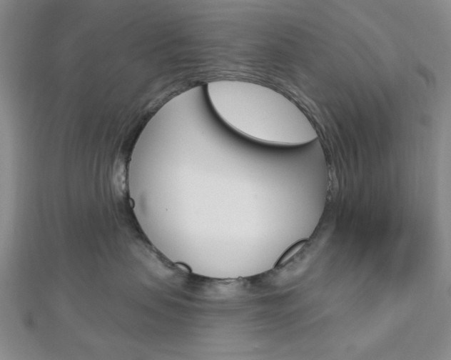 X0000112910479200908241012