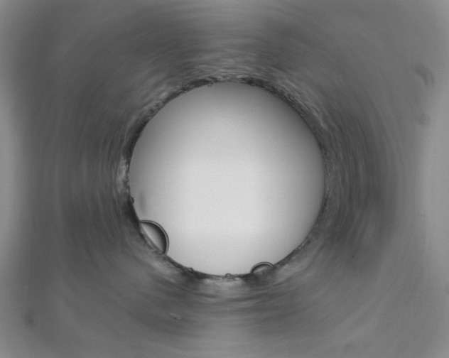 X0000112910480200908241012