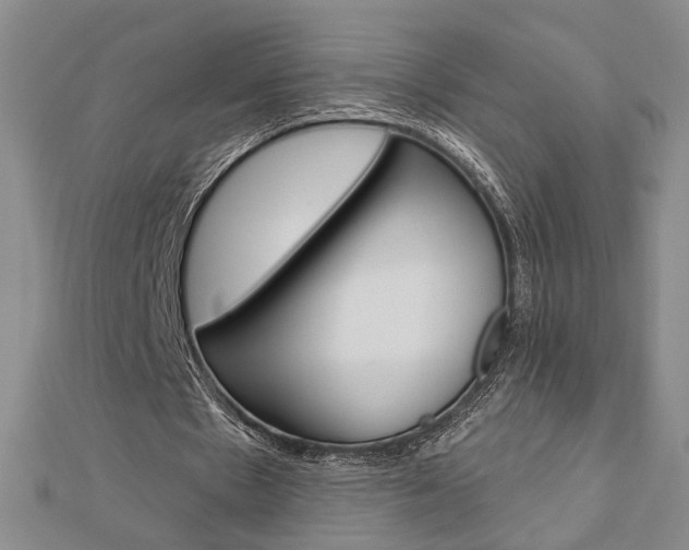 X0000112910481200908241012