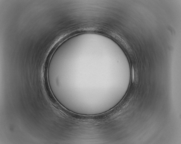 X0000112910483200908241012