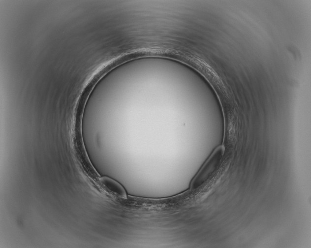 X0000112910484200908241012