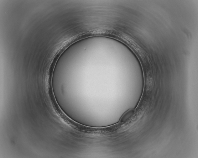 X0000112910485200908241012