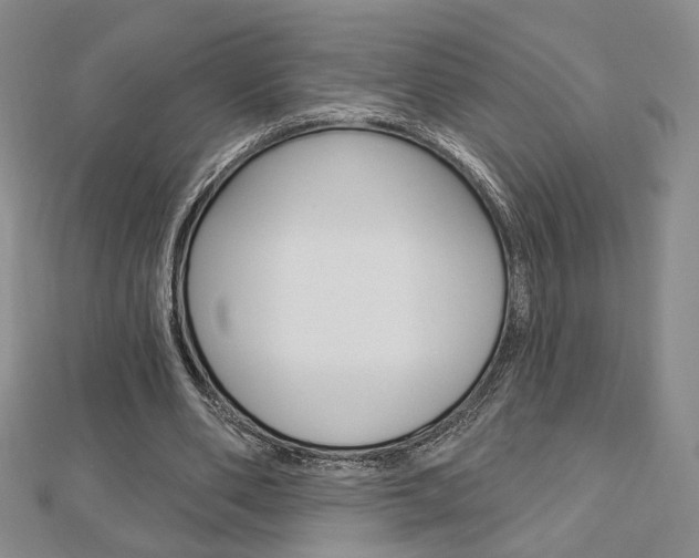 X0000112910486200908241012