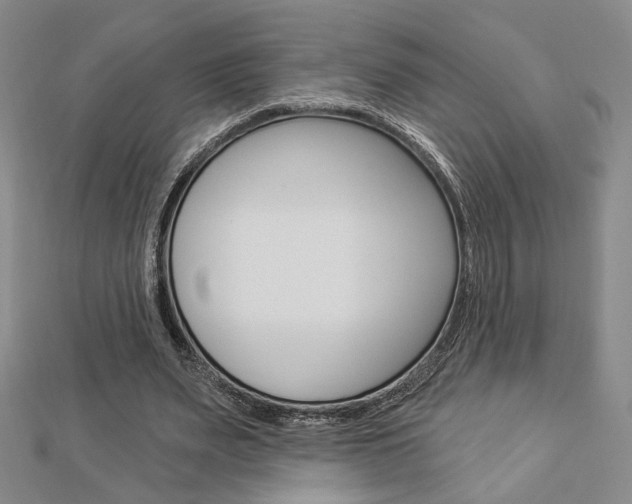 X0000112910487200908241012