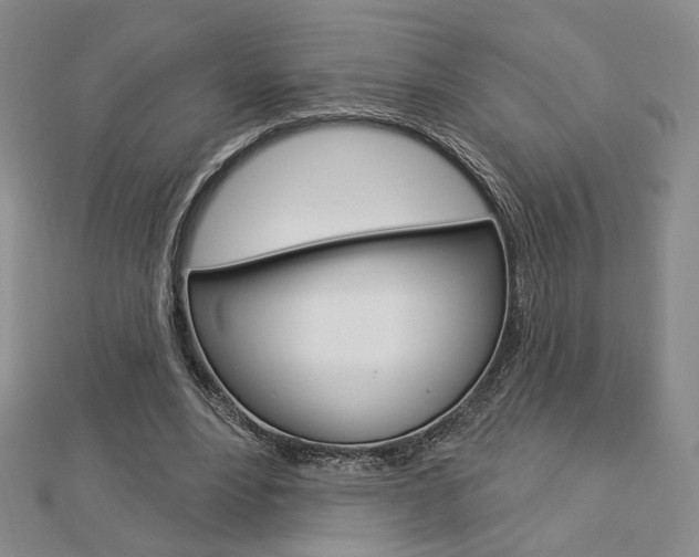 X0000112910488200908241012