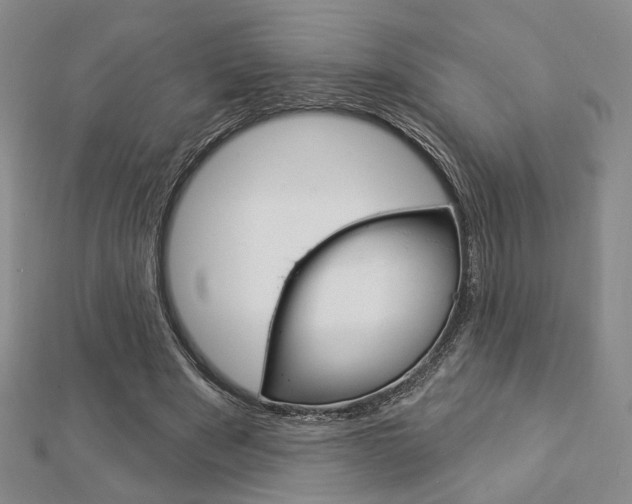 X0000112910489200908241012