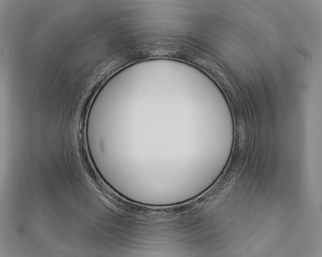 X0000112910490200908241012