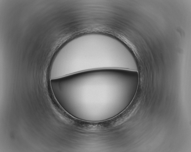 X0000112910493200908241012