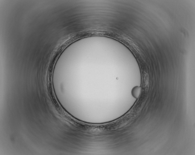 X0000112910494200908241011