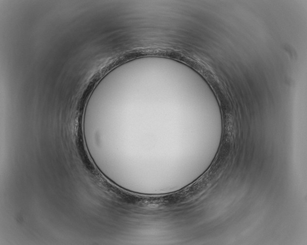 X0000112910495200908241011
