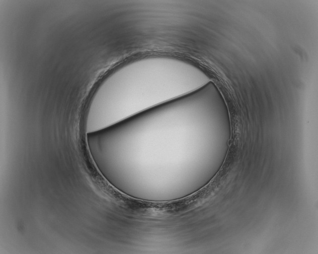 X0000112910496200908241011
