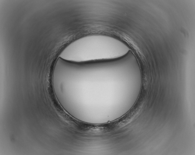 X0000112910497200908241011
