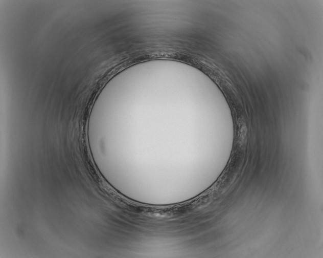 X0000112910498200908241011