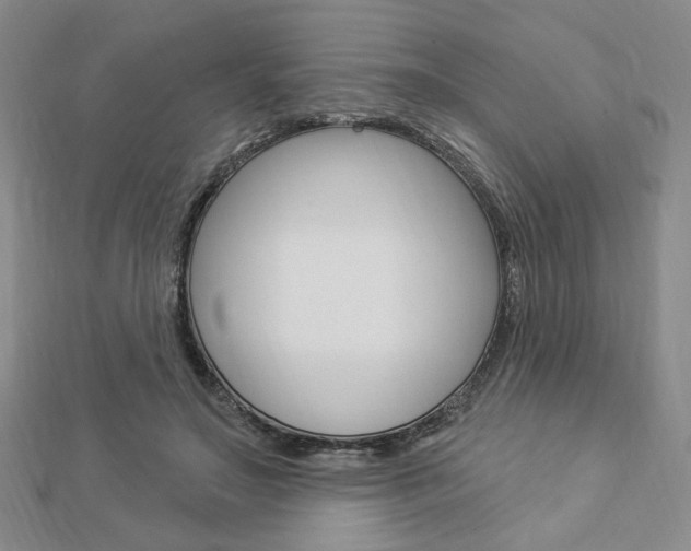 X0000112910499200908241011