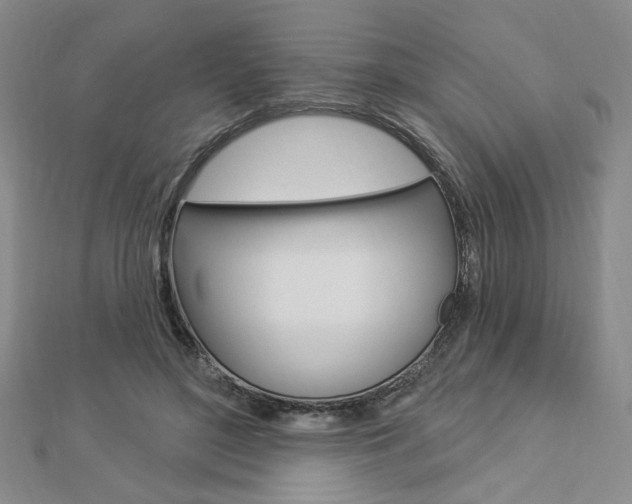 X0000112910500200908241011