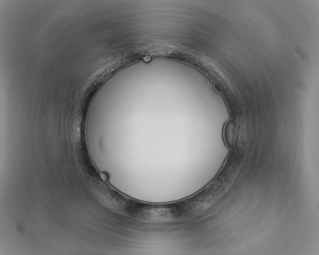 X0000112910501200908241011