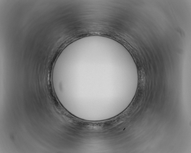 X0000112910502200908241011