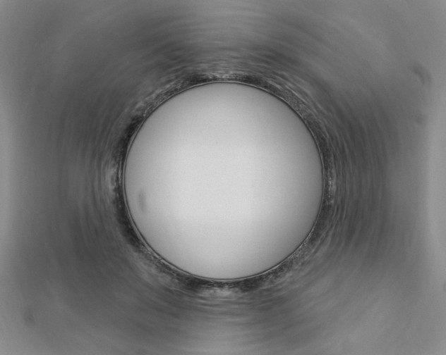 X0000112910503200908241011